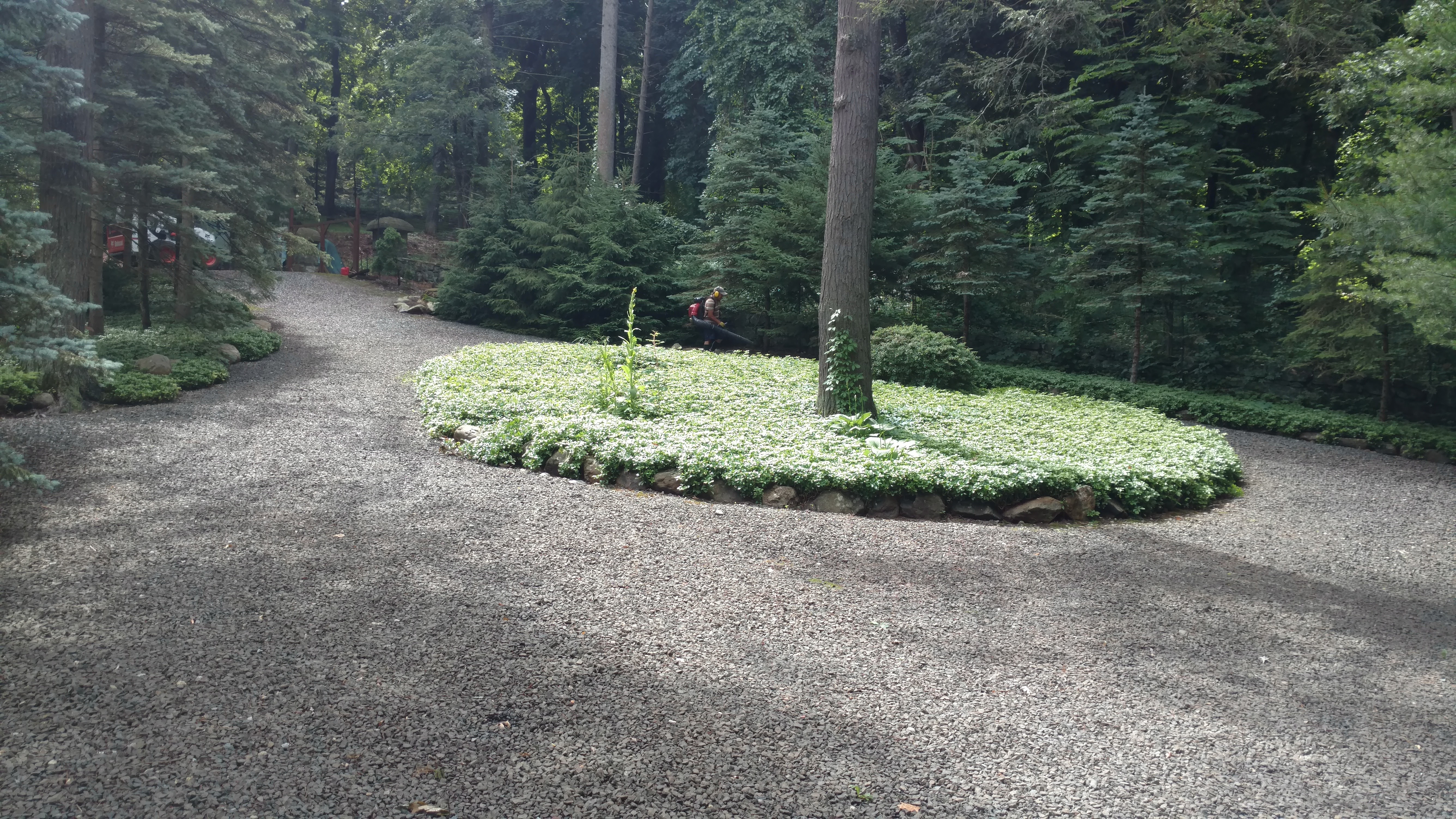 SealPro Asphalt Driveways project 18