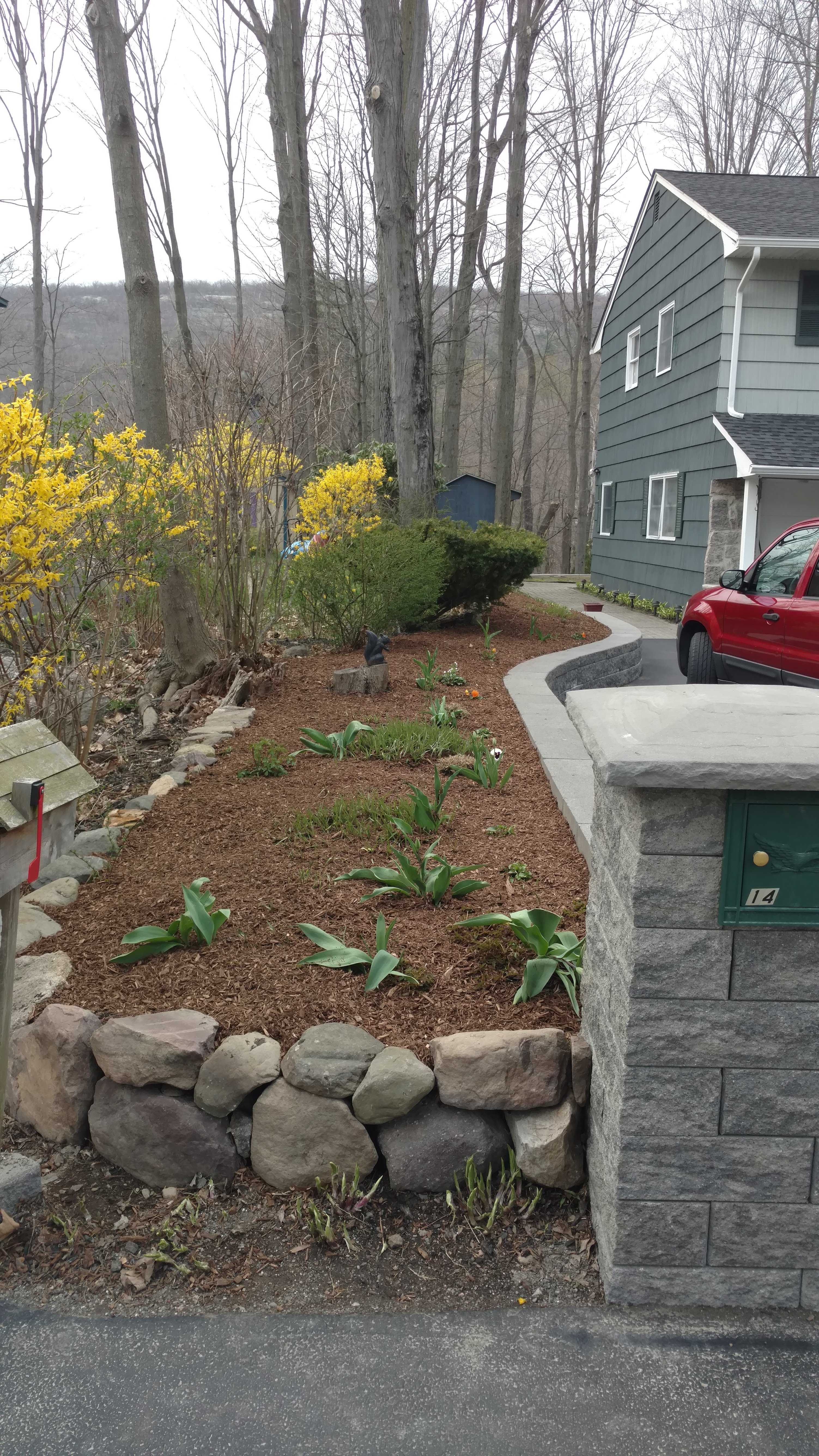 Landscaping & Backyard project 11