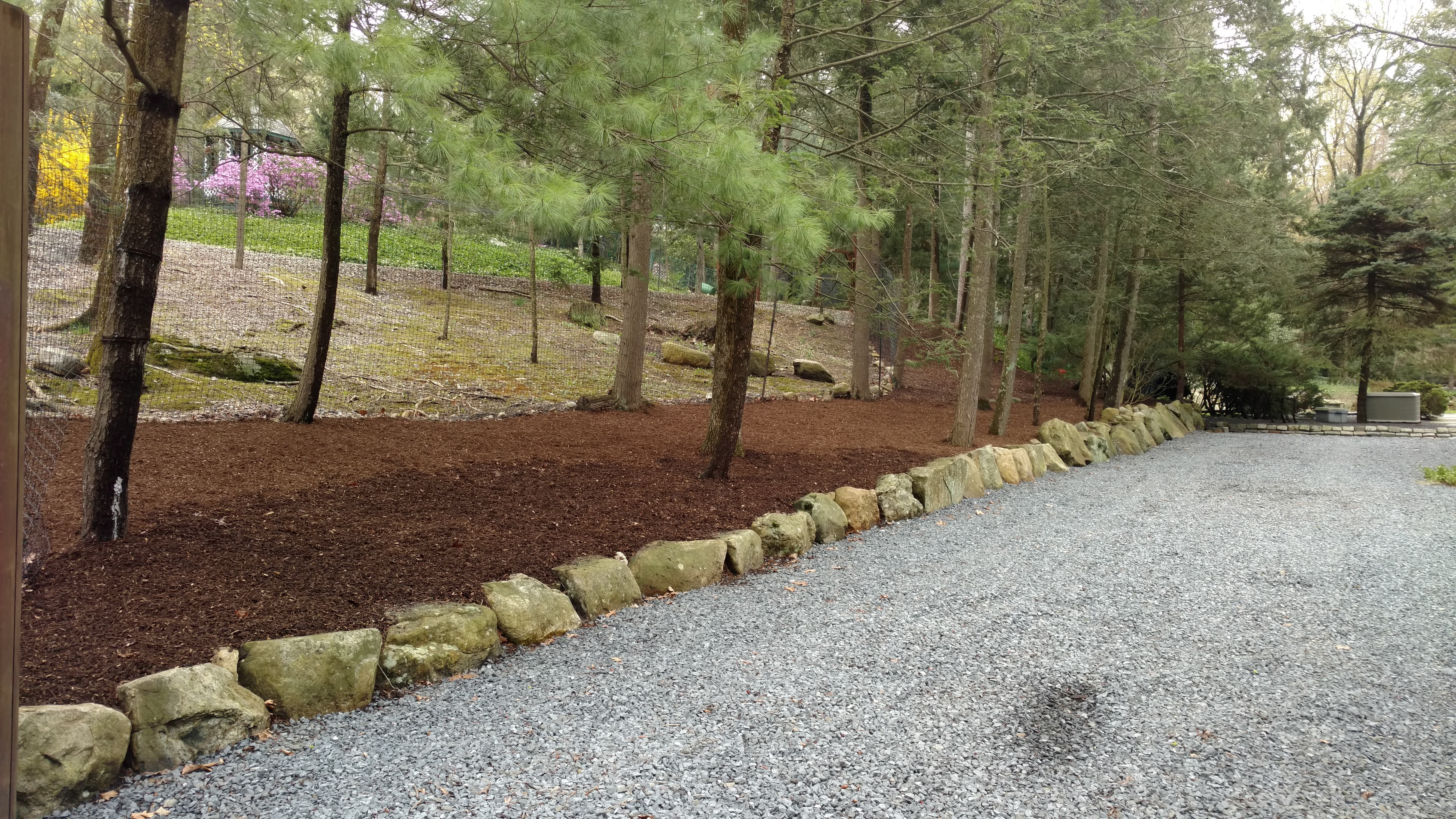 Landscaping & Backyard project 3