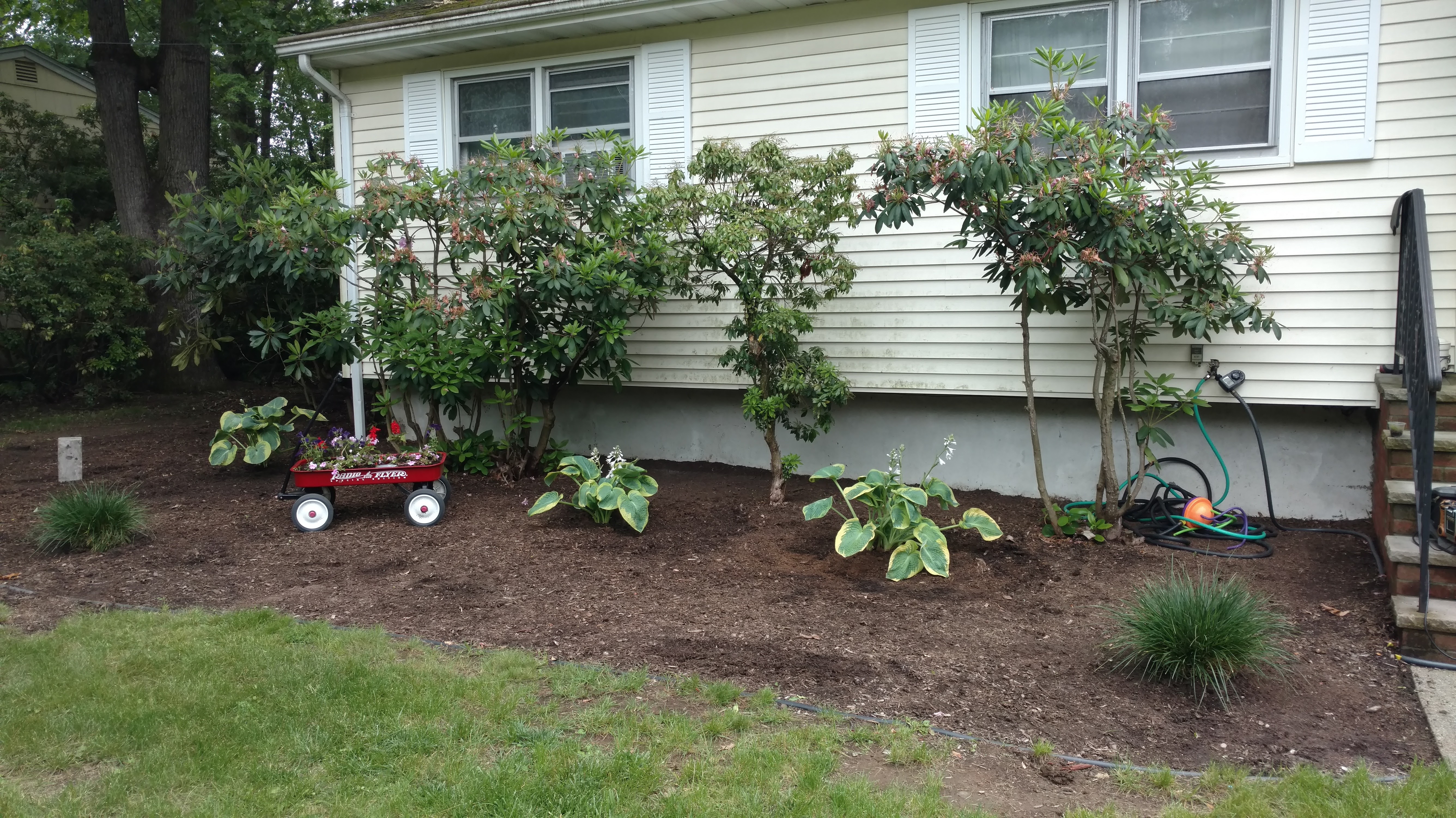 Landscaping & Backyard project 5