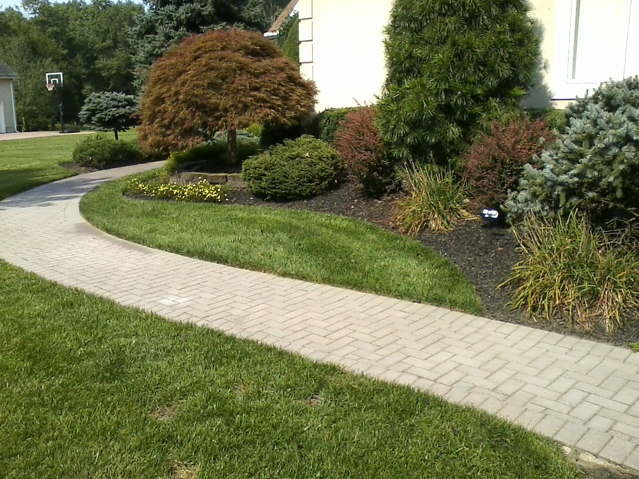 SealPro Power Washing project 14