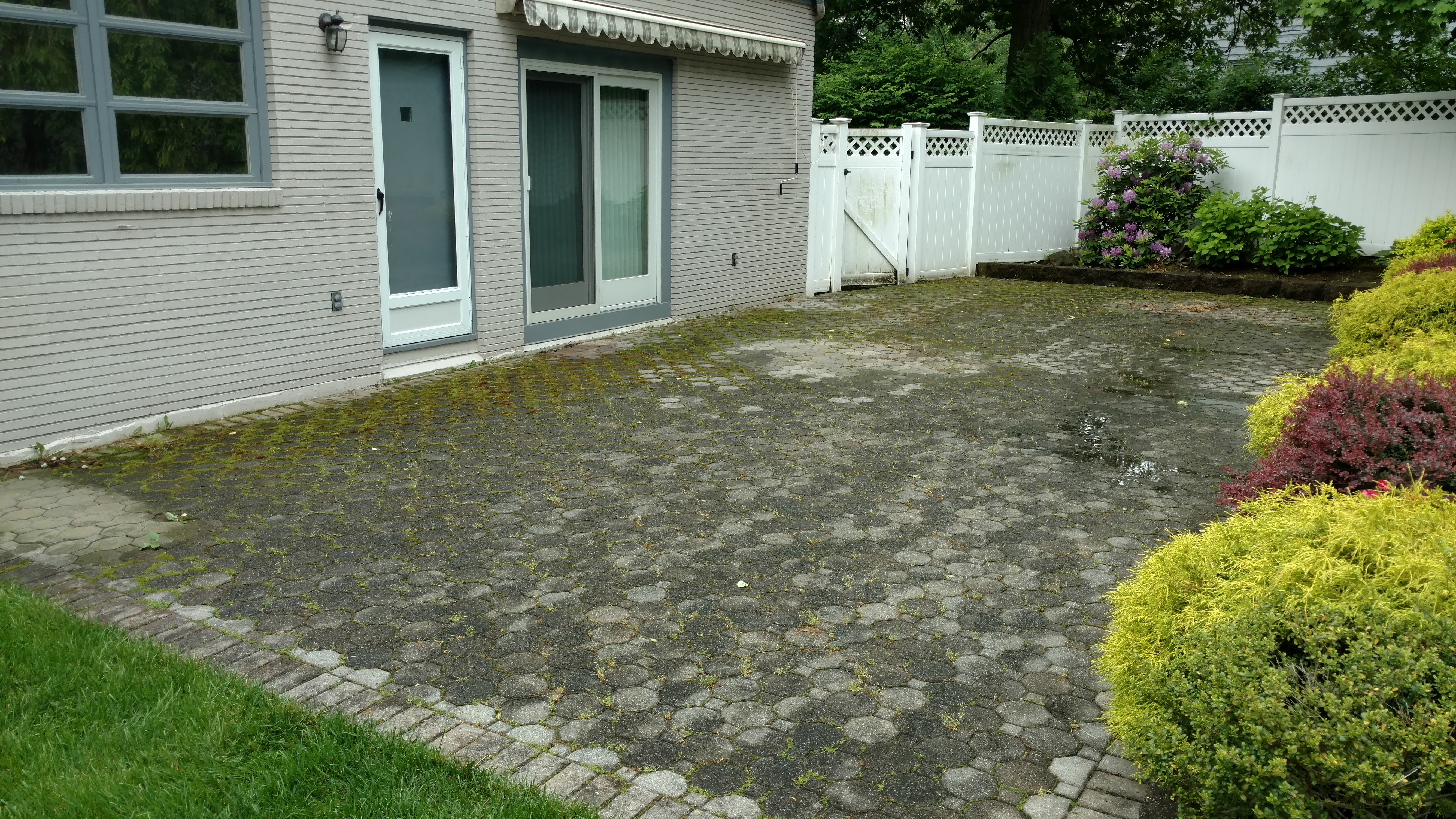 SealPro Power Washing project 18